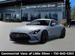 Mercedes-Benz AMG® GT 63