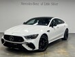 Mercedes-Benz AMG® GT 53