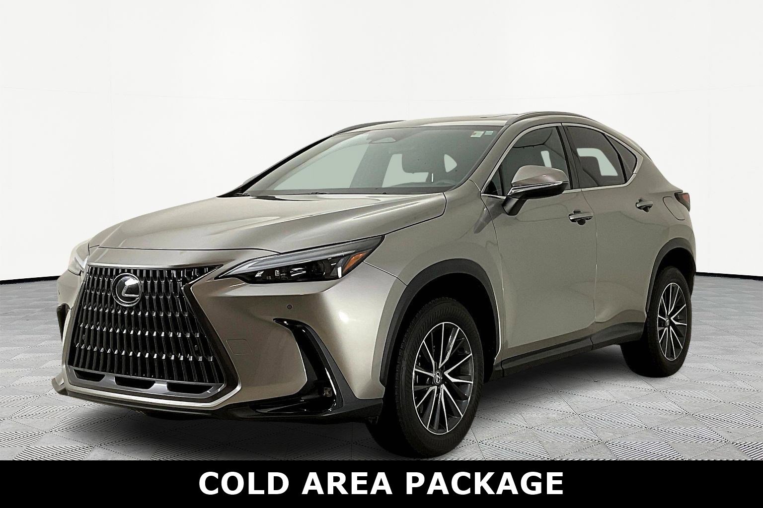 2024 Lexus NX