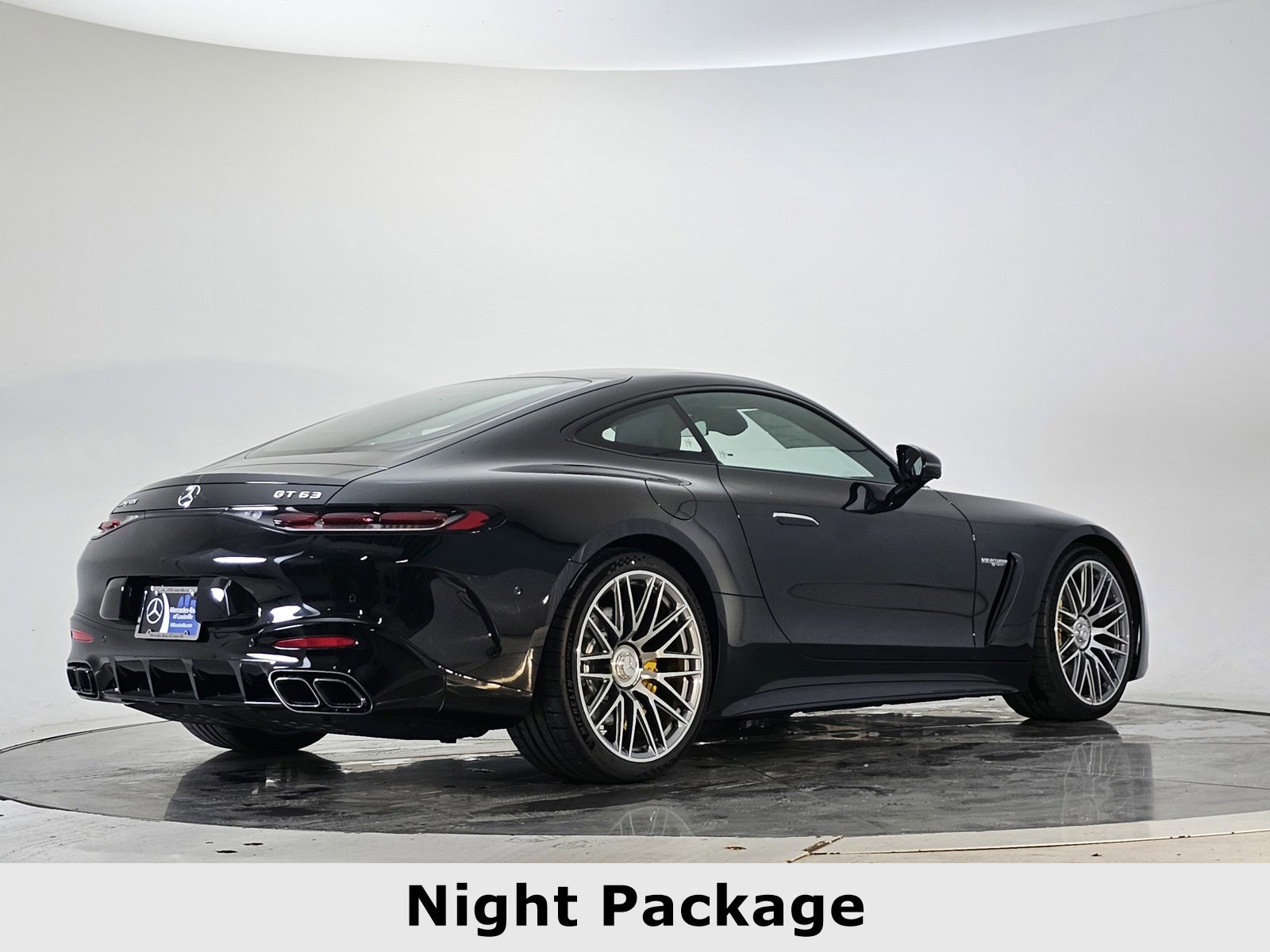 2025 Mercedes Benz AMG GT photo 2