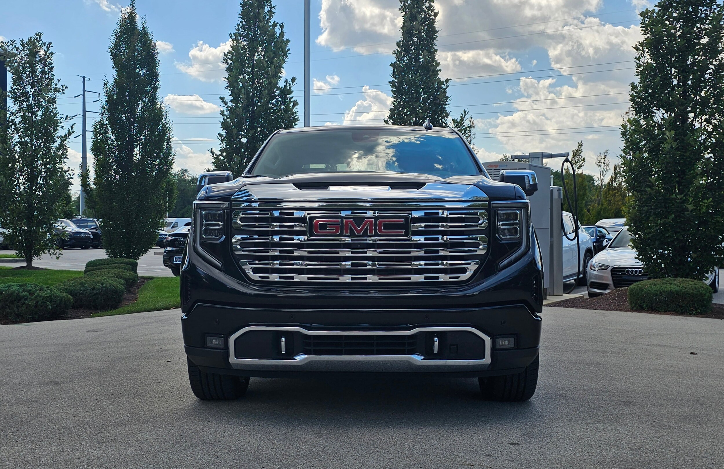 2022 Gmc Sierra 1500 Denali photo 4