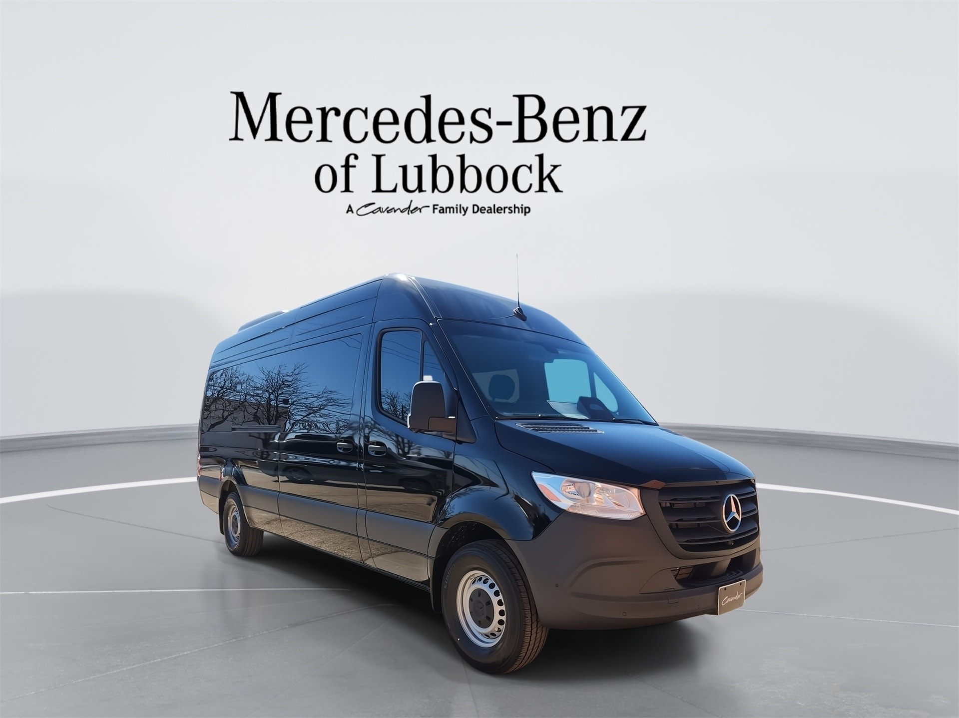 2025 Mercedes-Benz Sprinter Passenger Van