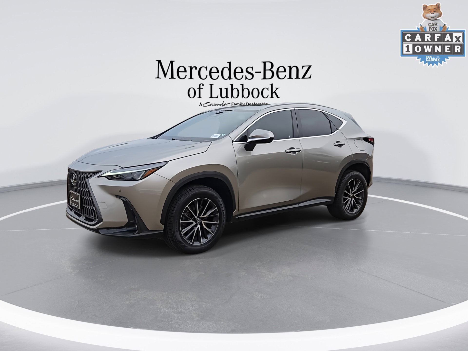 Used 2024 Lexus NX 350 350 Premium SUV