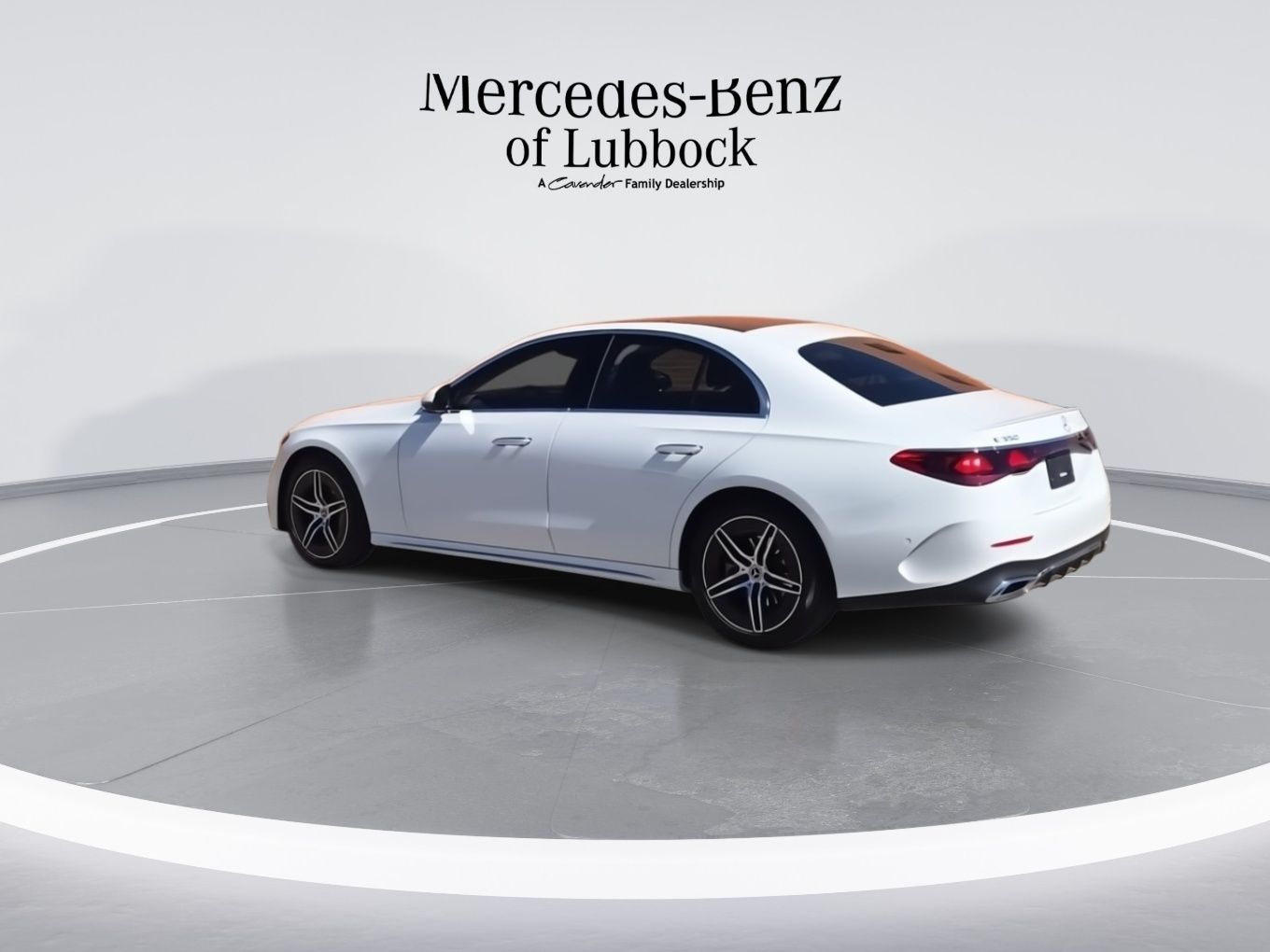 2025 Mercedes-Benz E-Class E350 - Photo 6