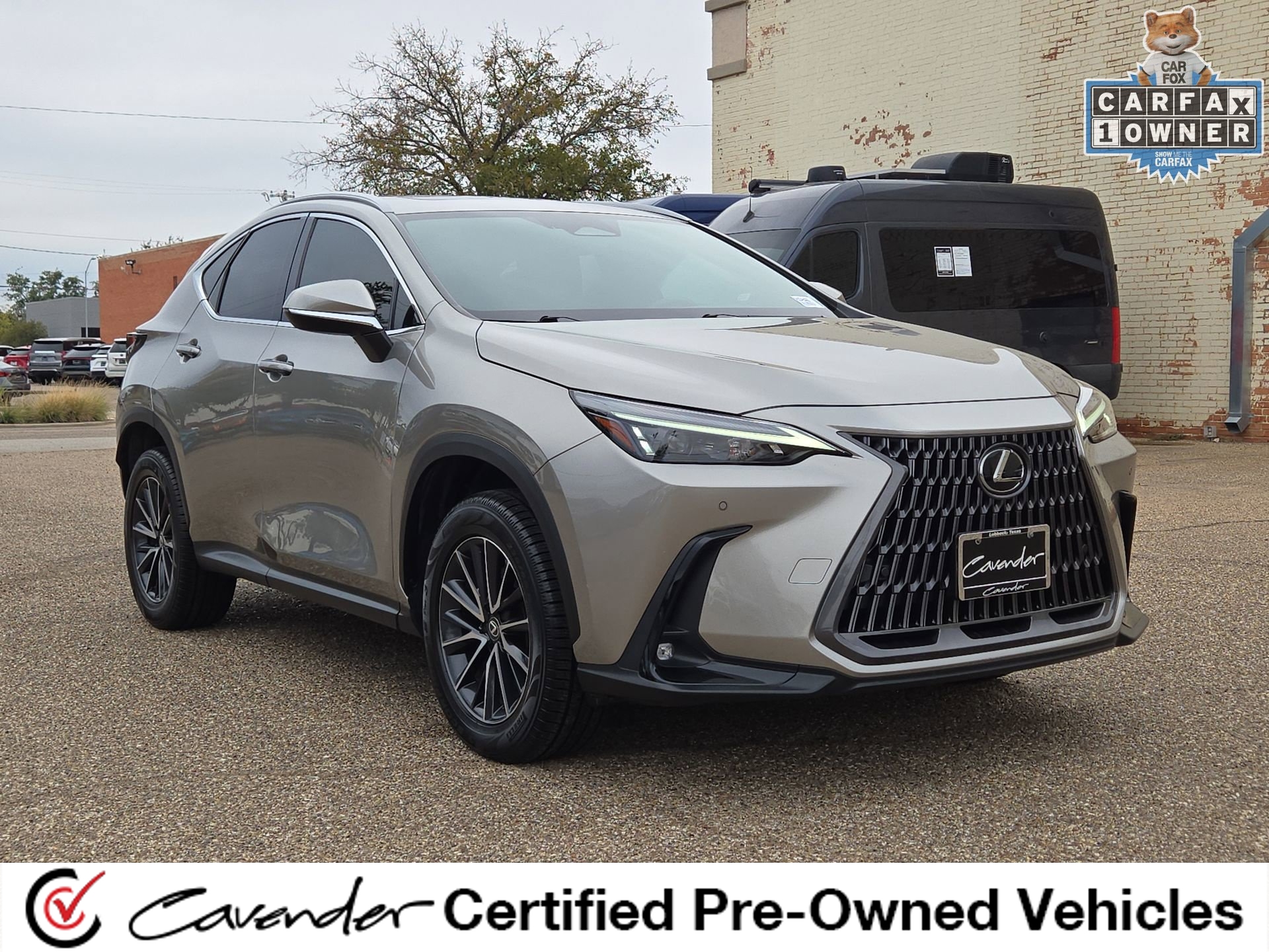 2024 Lexus NX