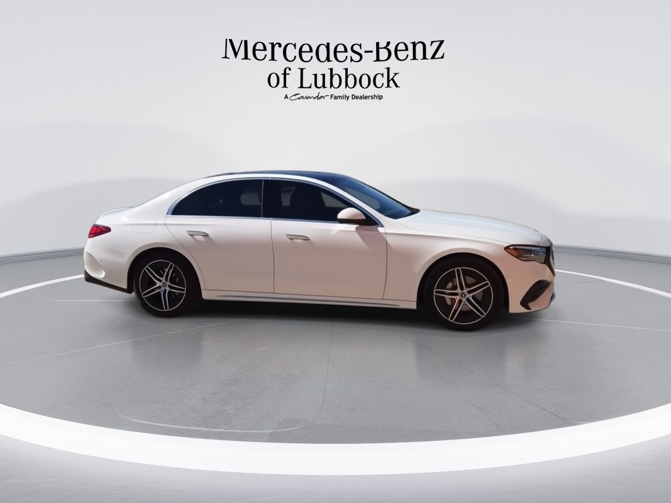 2025 Mercedes-Benz E-Class E350 - Photo 9