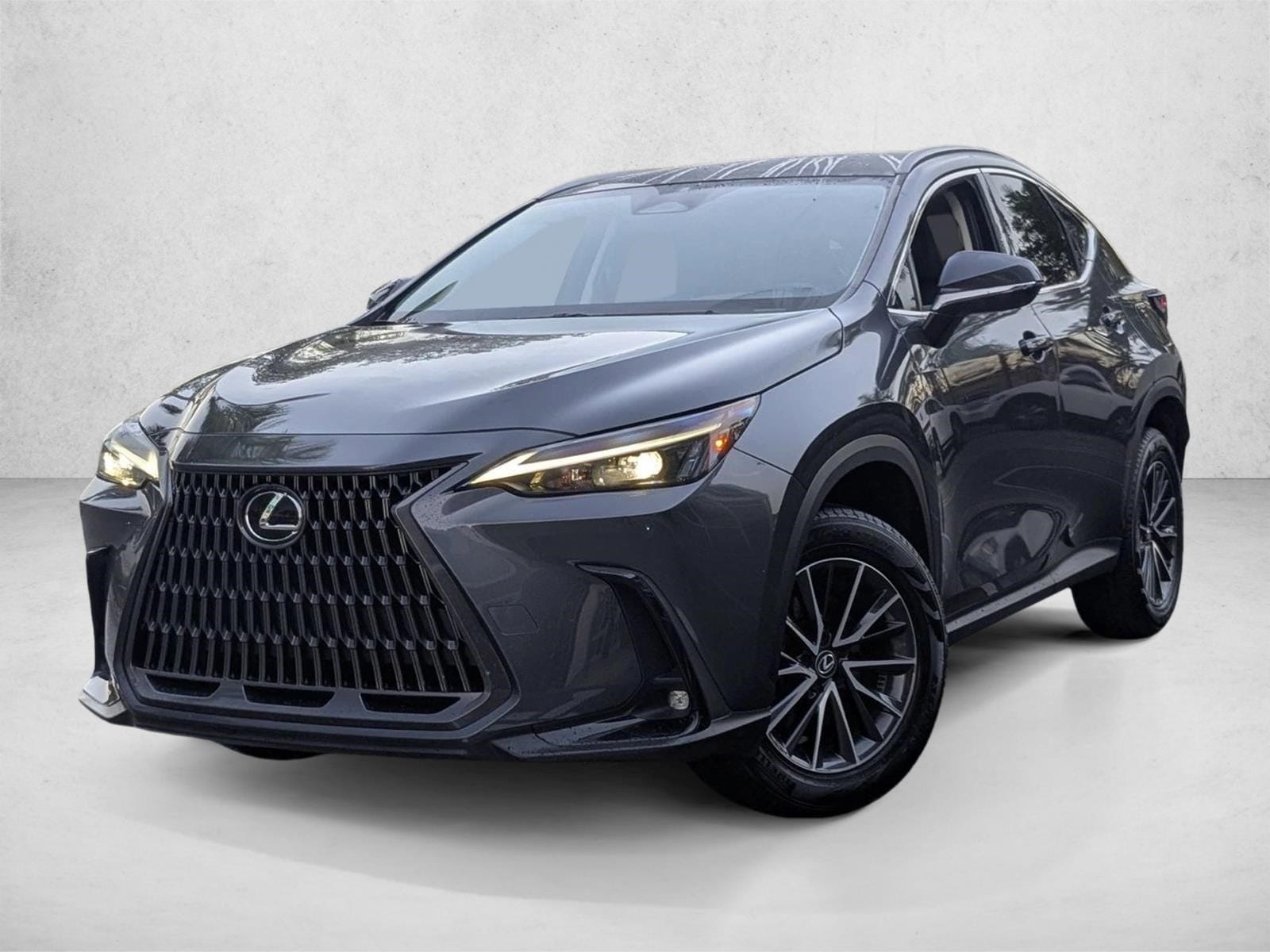 2024 Lexus NX 250's photo