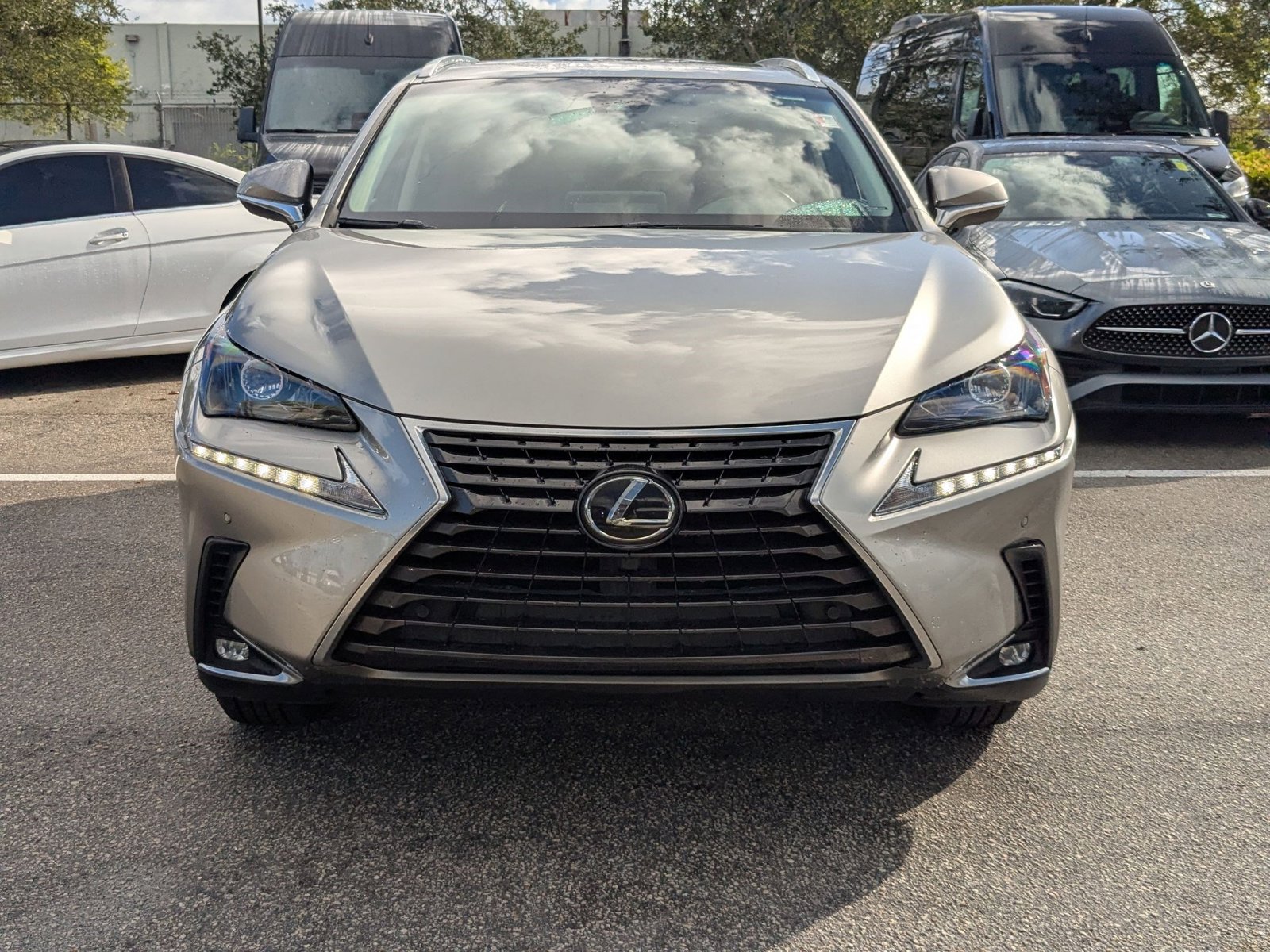 2019 Lexus NX 300 Luxury photo 2
