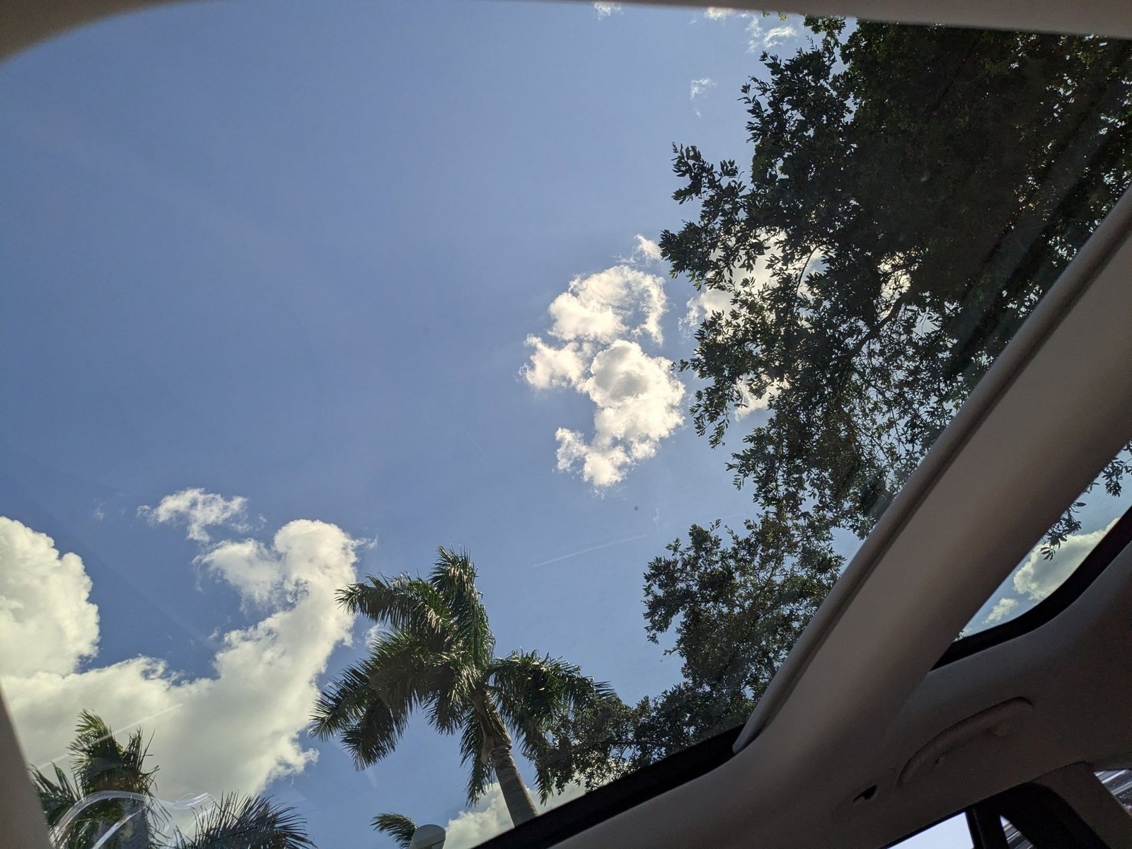 View 14