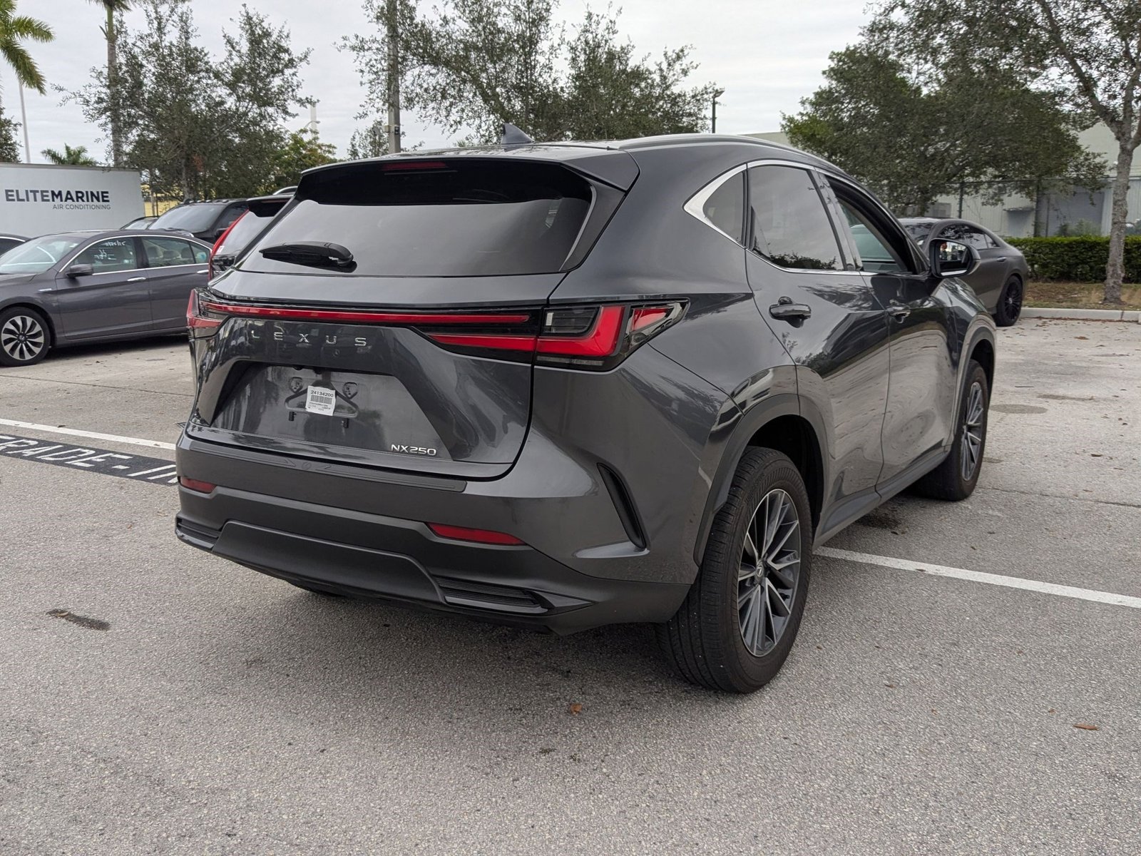 2024 Lexus NX 250 photo 3