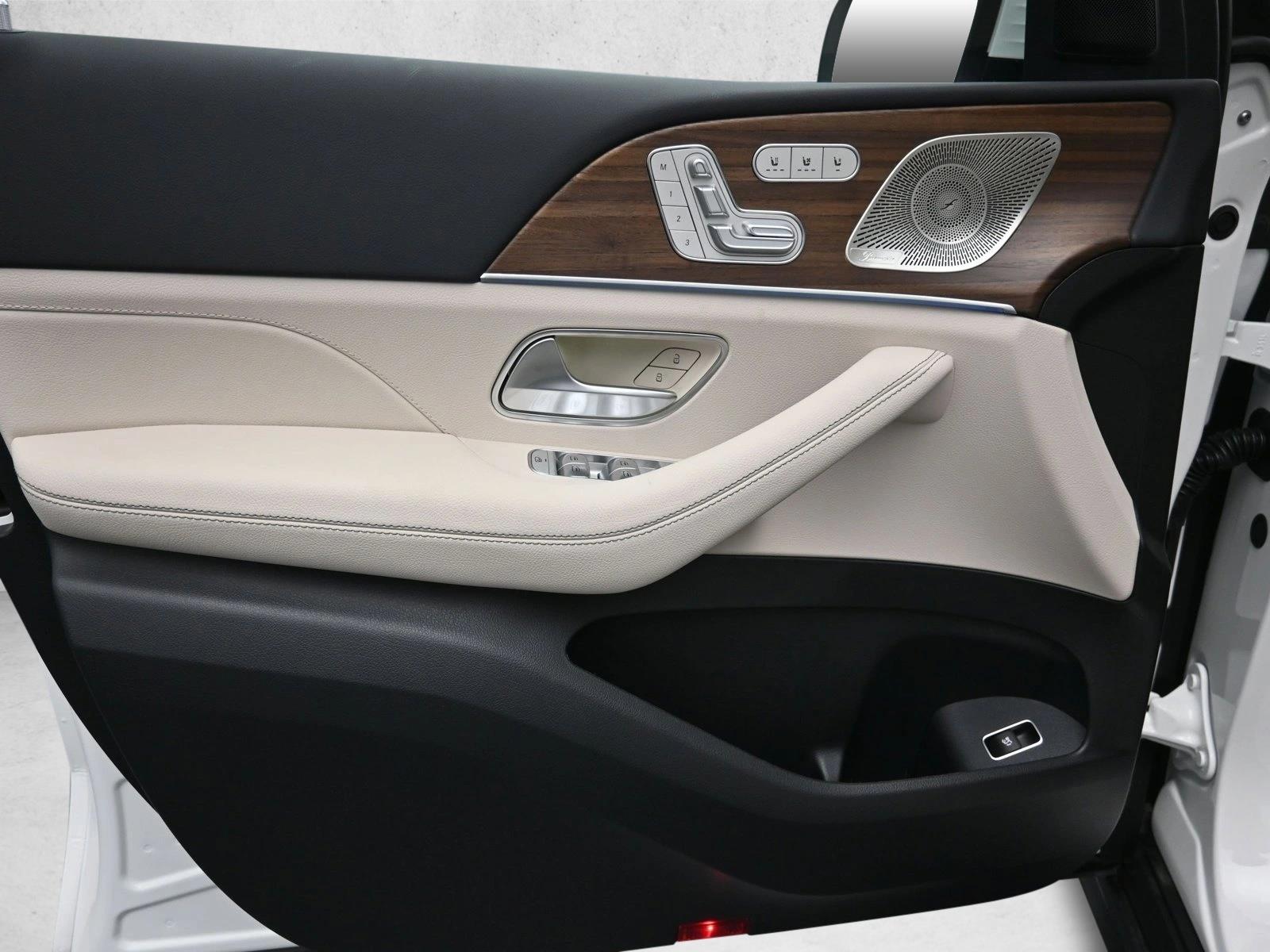 2025 MERCEDES-BENZ GLS-CLASS - Image 19