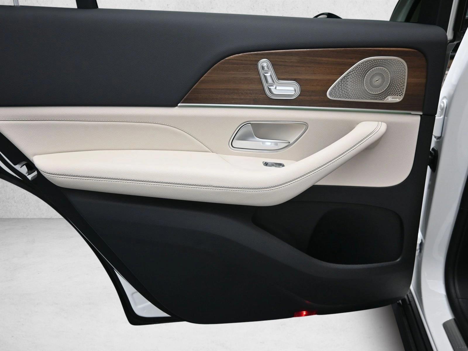 2025 MERCEDES-BENZ GLS-CLASS - Image 25