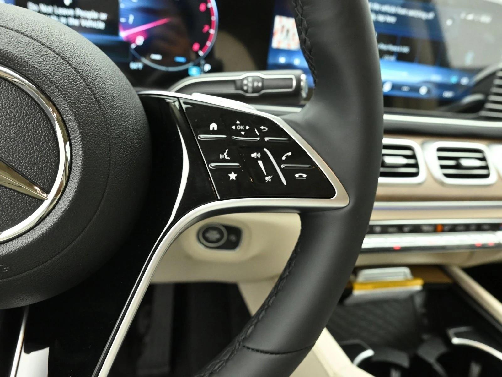 2025 MERCEDES-BENZ GLS-CLASS - Image 16