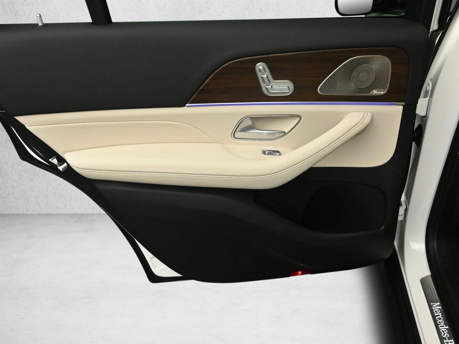 2025 MERCEDES-BENZ GLS-CLASS - Image 24