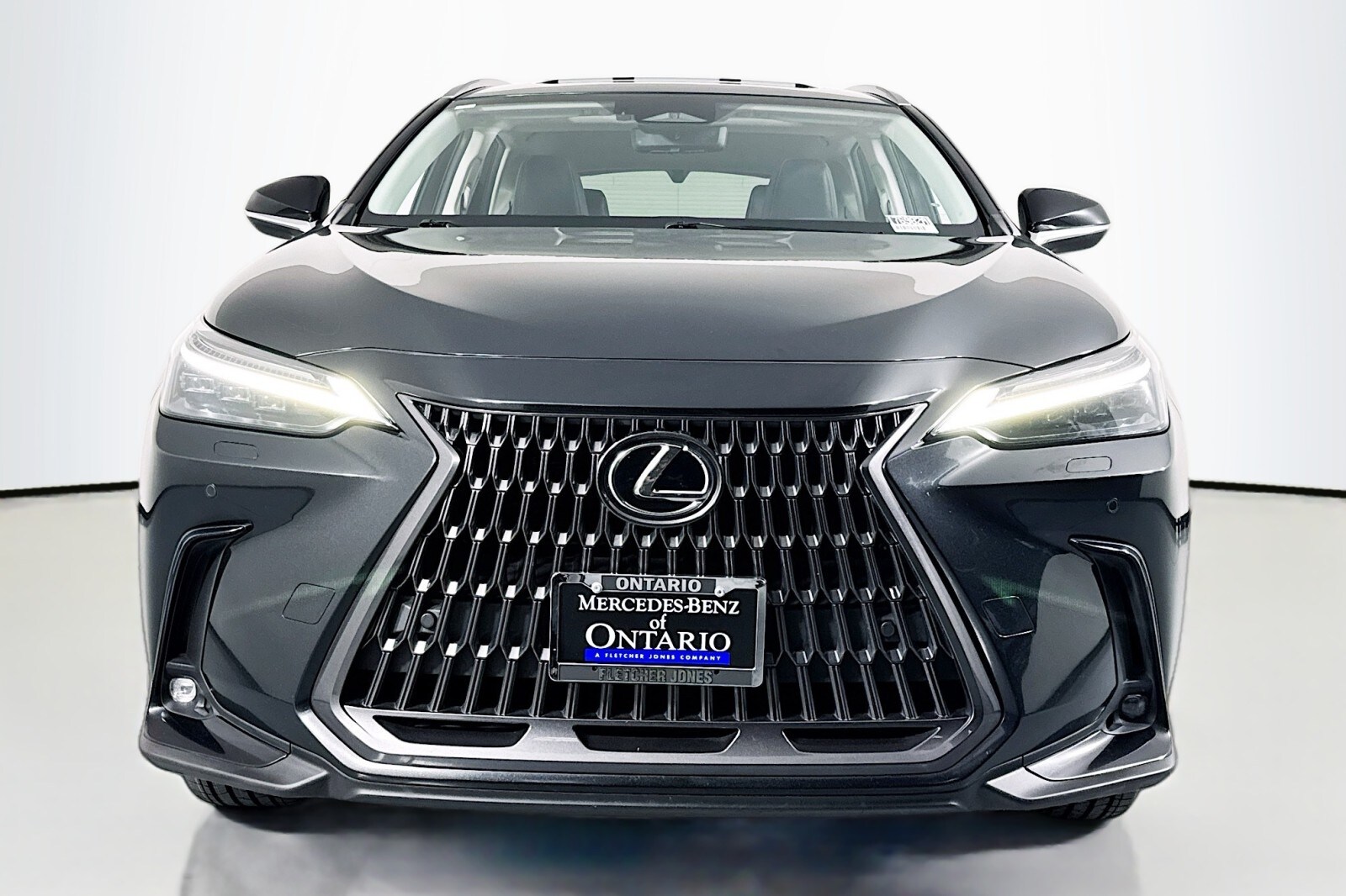 2023 Lexus NX Luxury photo 2