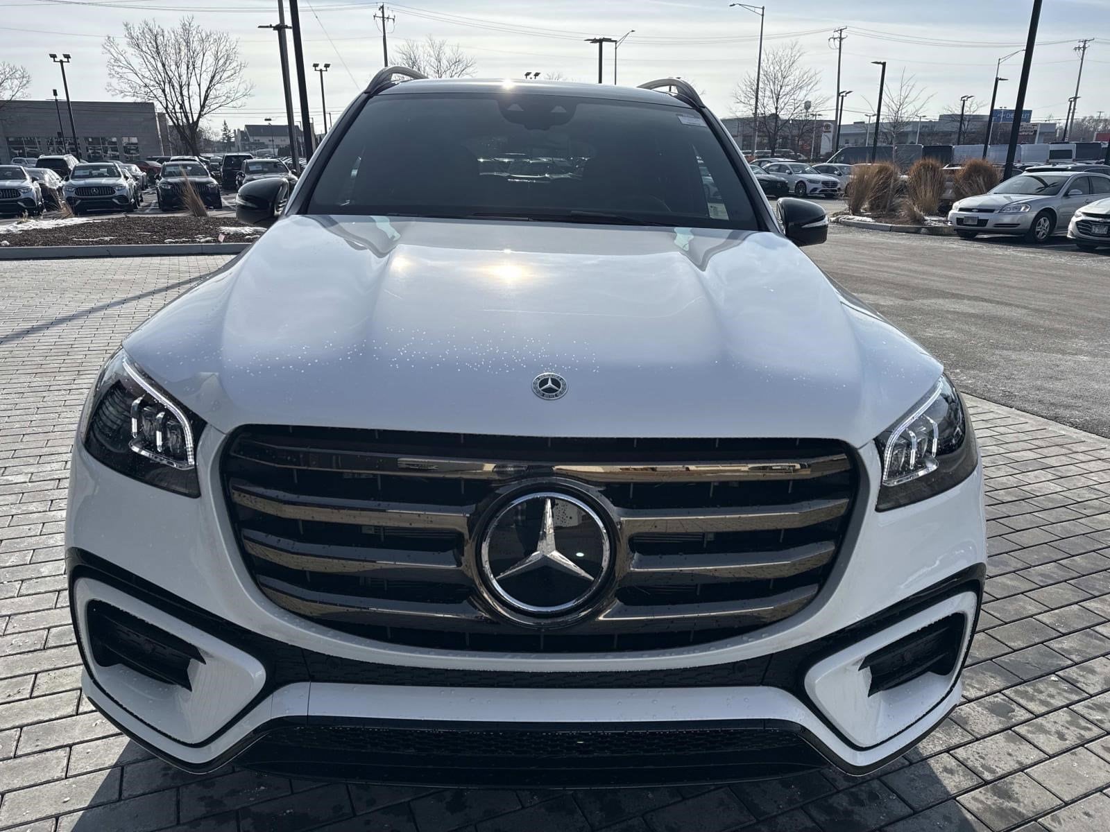 2026 MERCEDES-BENZ GLS-CLASS - Image 3