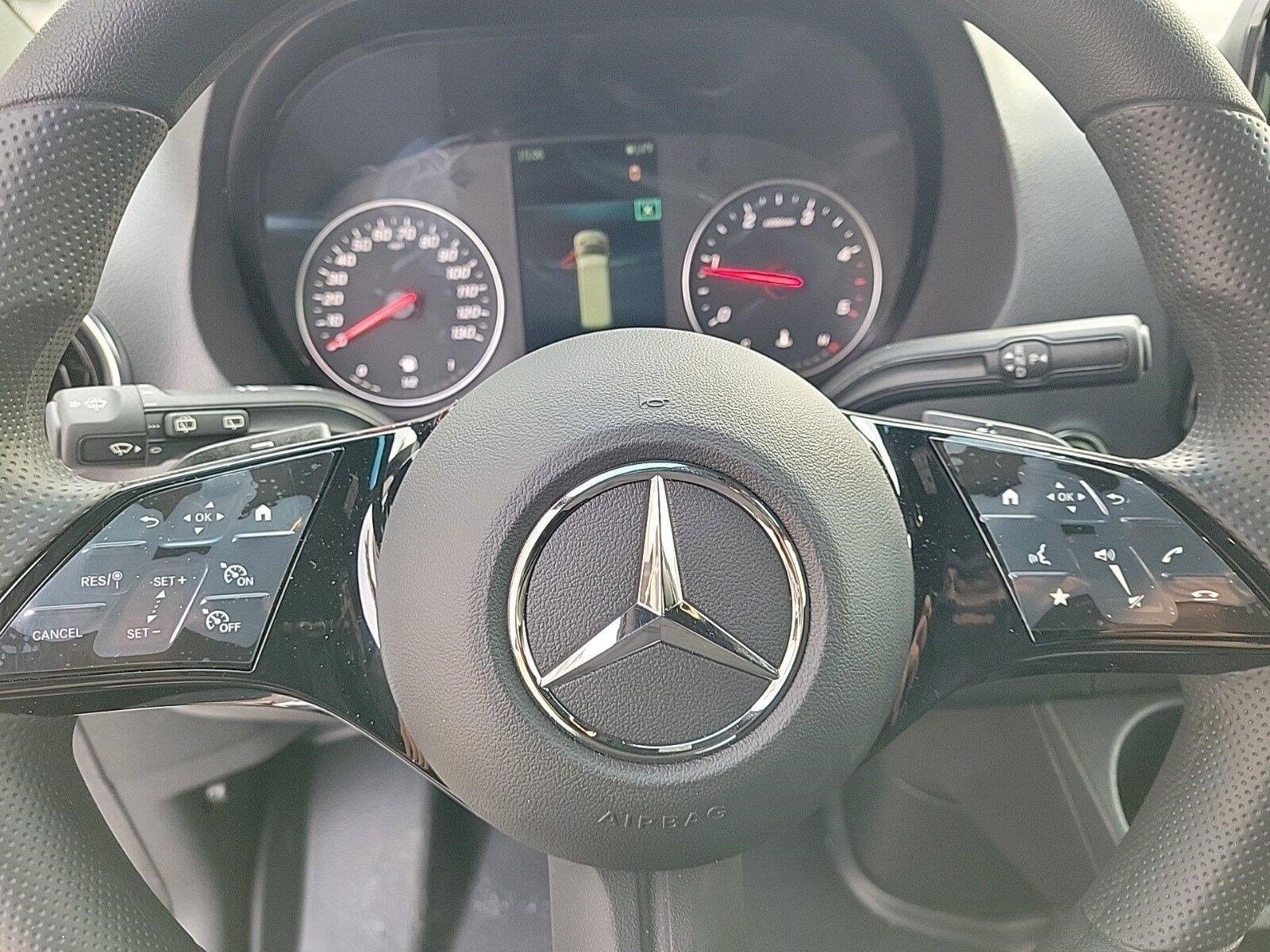 2025 MERCEDES-BENZ SPRINTER - Image 25