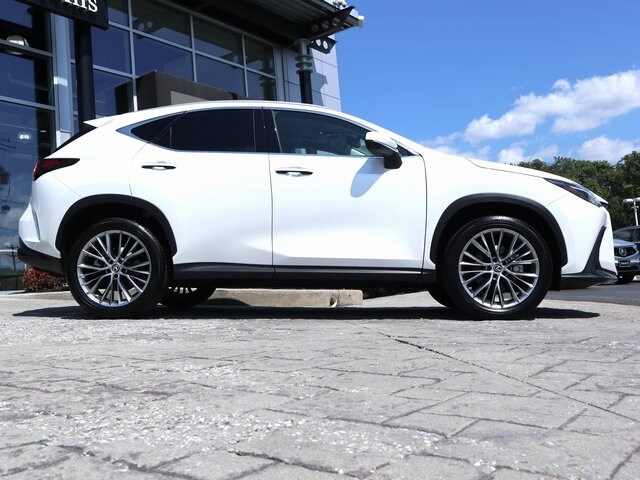 2022 Lexus NX 350 Luxury photo 3