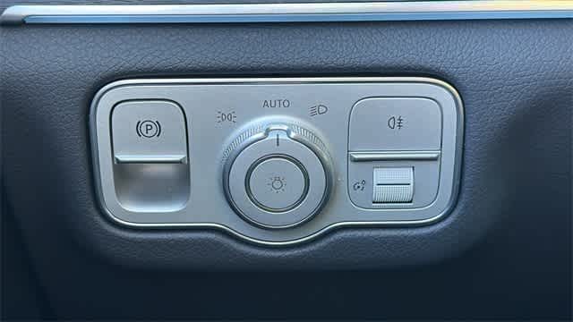 Thumbnail: 2025 Mercedes-Benz GLS - 17