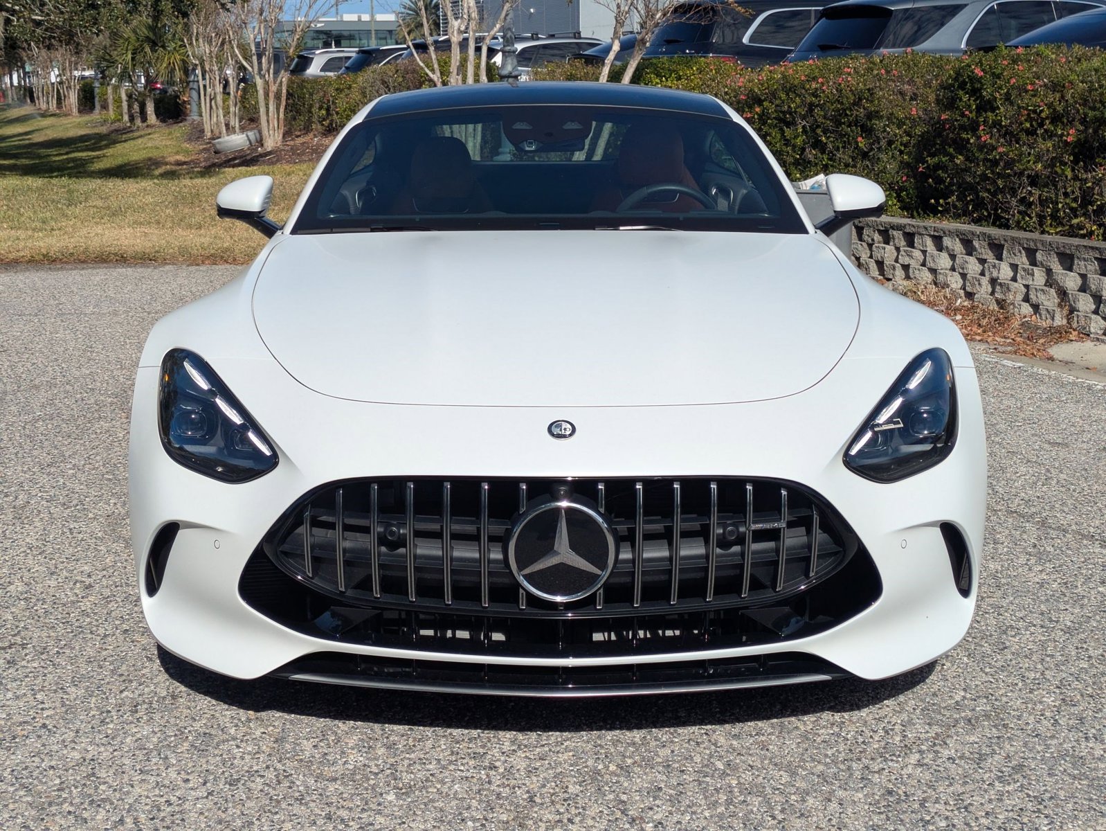 2024 Mercedes Benz AMG GT GT 55 photo 2