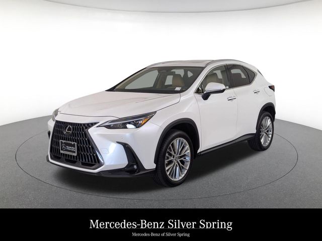 2025 Lexus NX 350 350 Premium AWD's photo