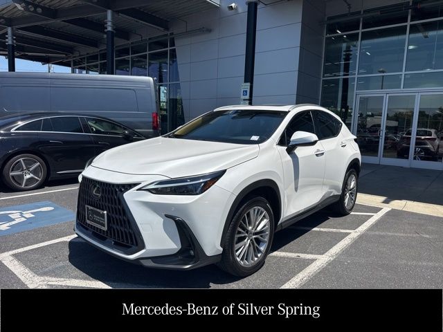 2025 Lexus NX 350 350 Premium AWD's photo