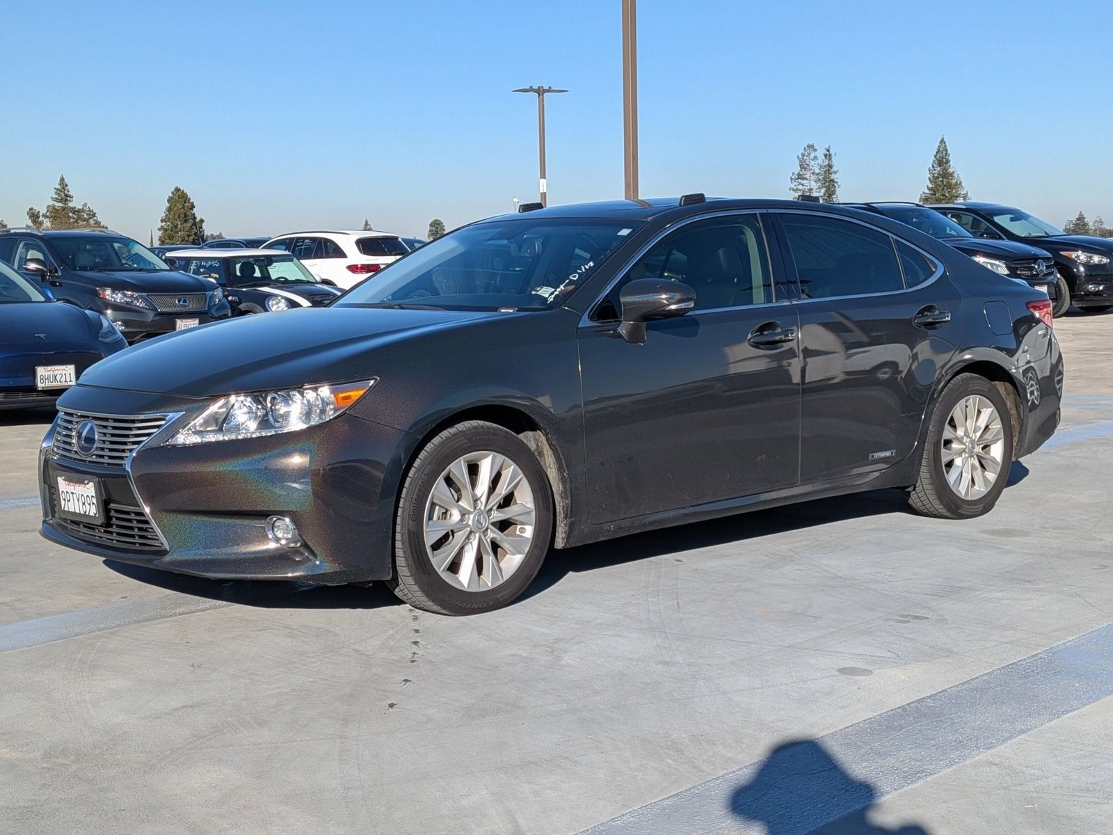 2015 Lexus ES Base's photo