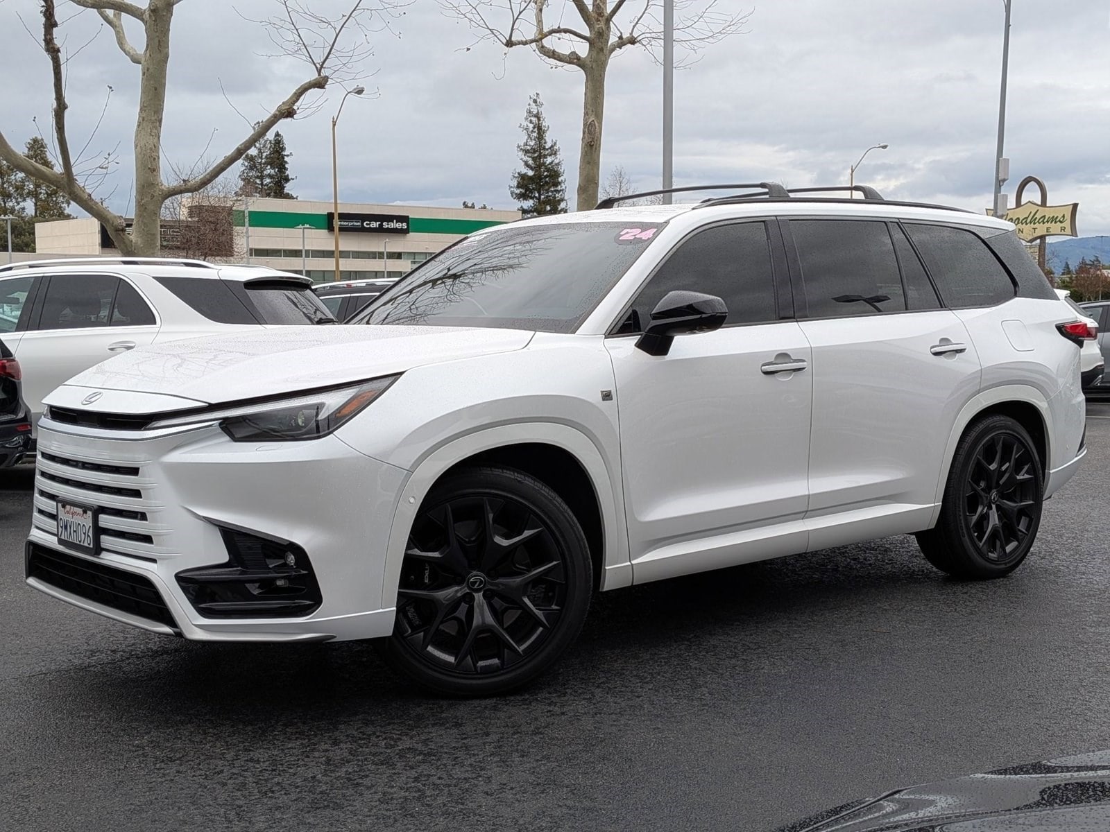 2024 Lexus TX Hybrid 500h's photo