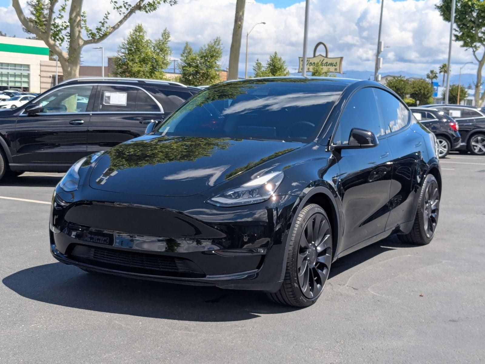 2021 Tesla Model Y Performance photo 1