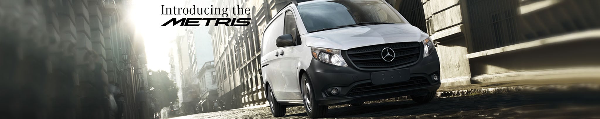 Sprinter Mercedes Vans in Tampa