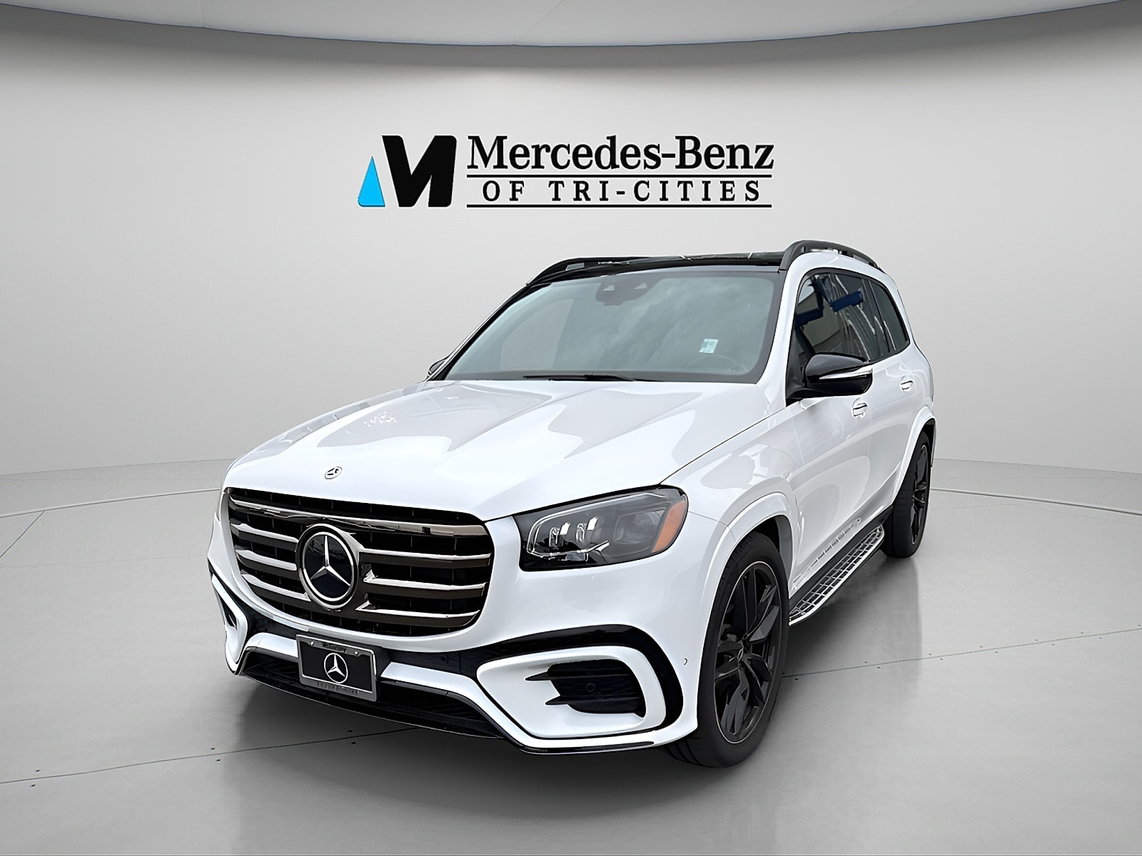 2025 Mercedes-Benz GLS Base's photo