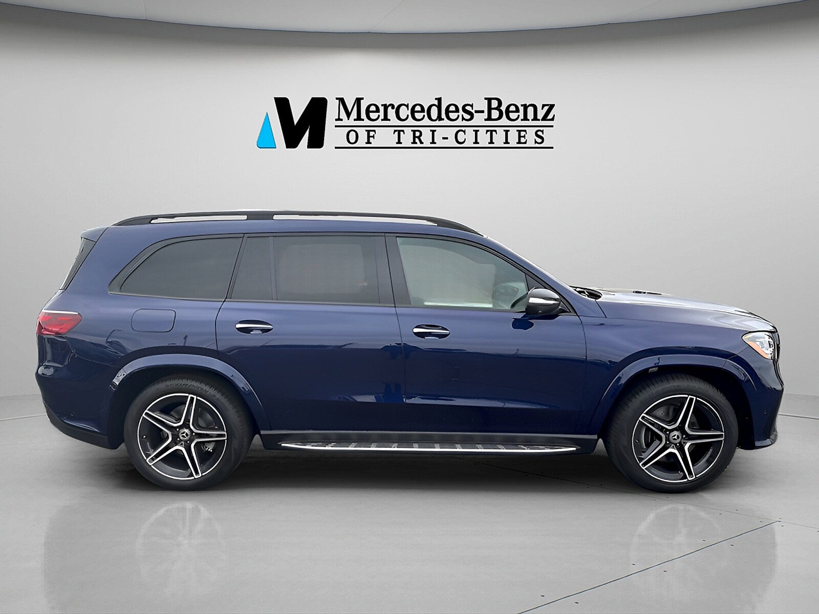 2025 Mercedes-Benz GLS Base - Photo 6