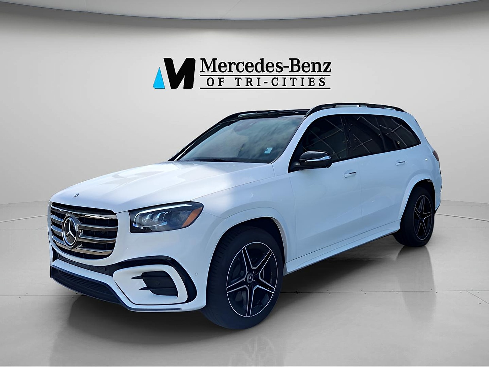 2025 Mercedes-Benz GLS Base's photo