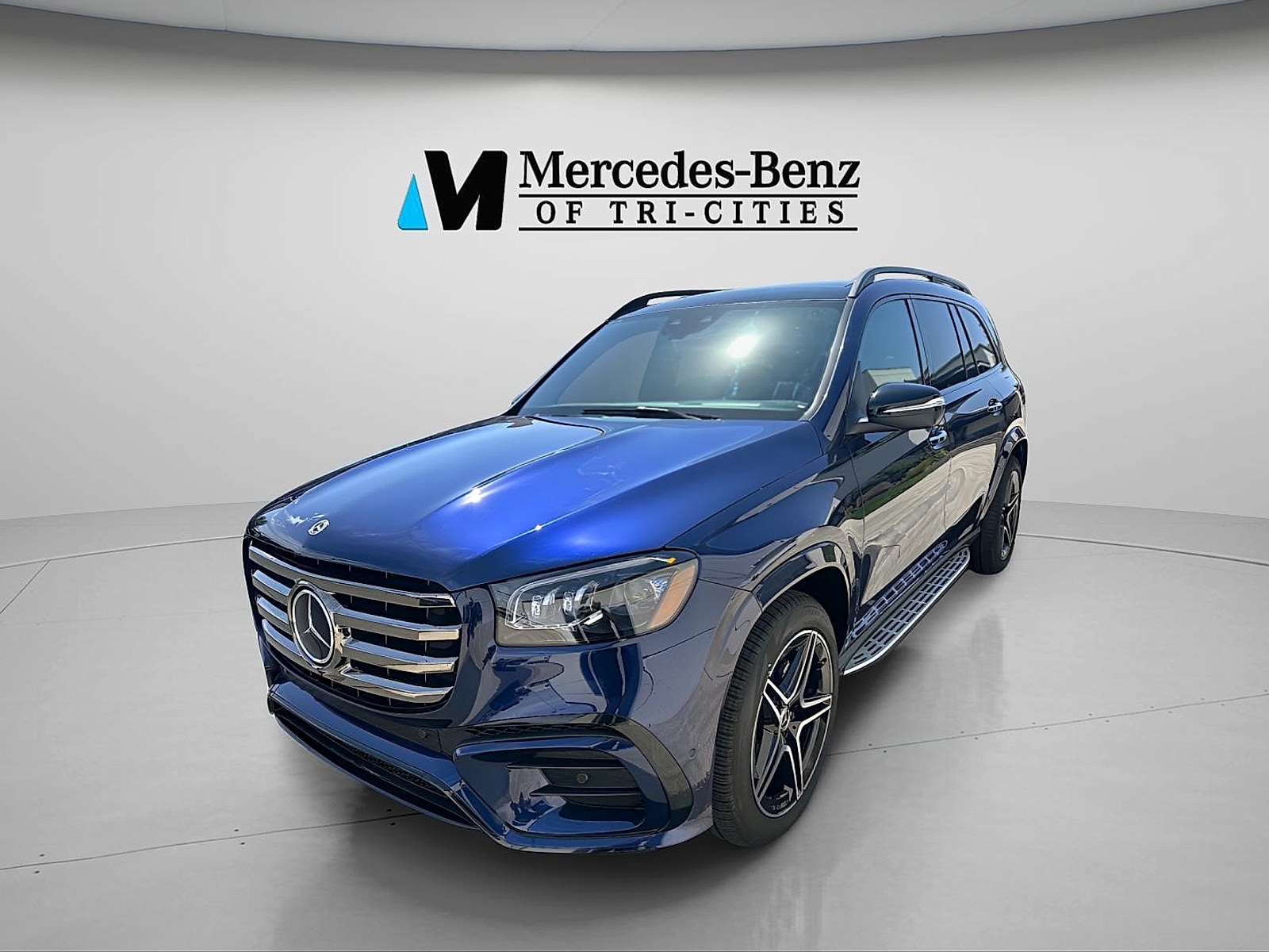 2025 Mercedes-Benz GLS Base - Photo 12