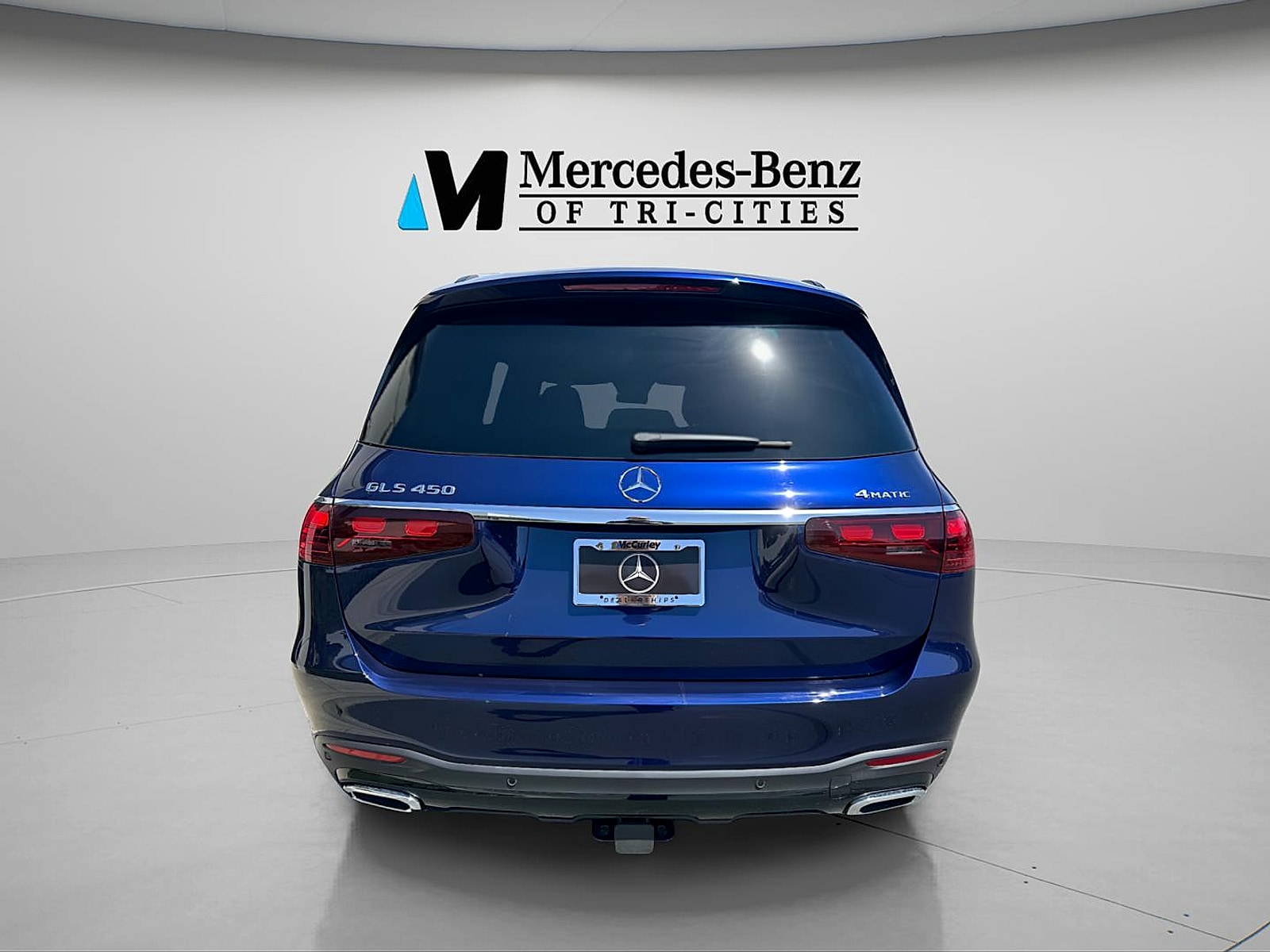 2025 Mercedes-Benz GLS Base - Photo 19