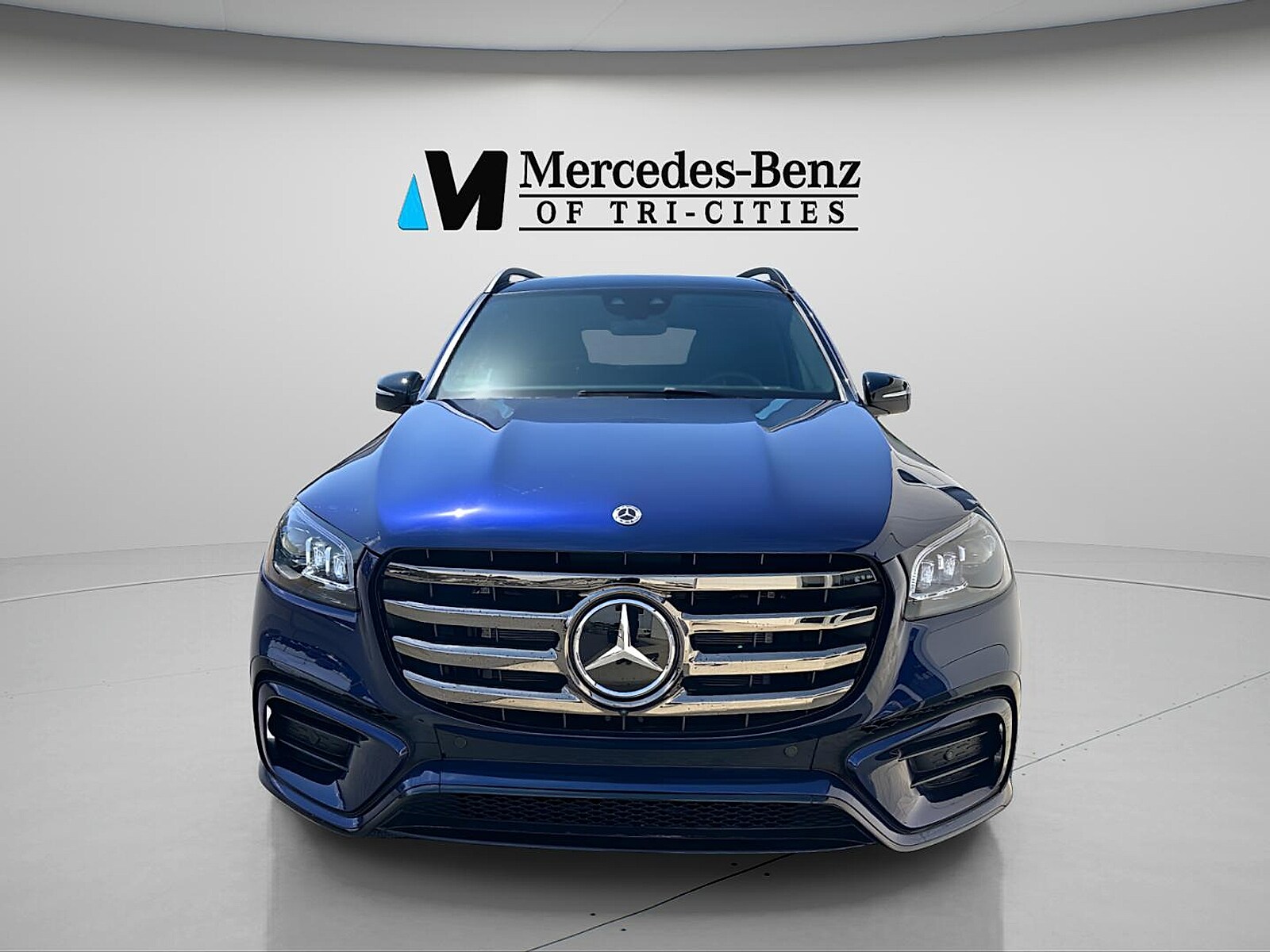 2025 Mercedes-Benz GLS Base - Photo 13