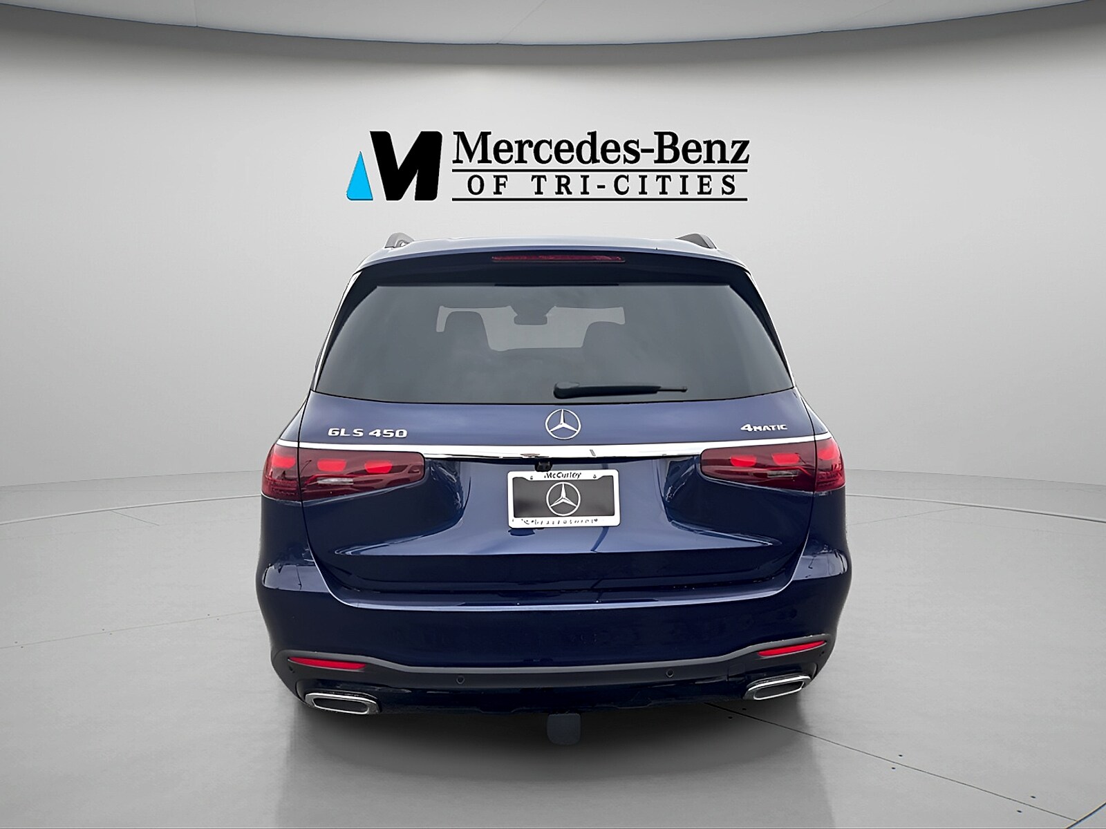 2025 Mercedes-Benz GLS Base - Photo 4