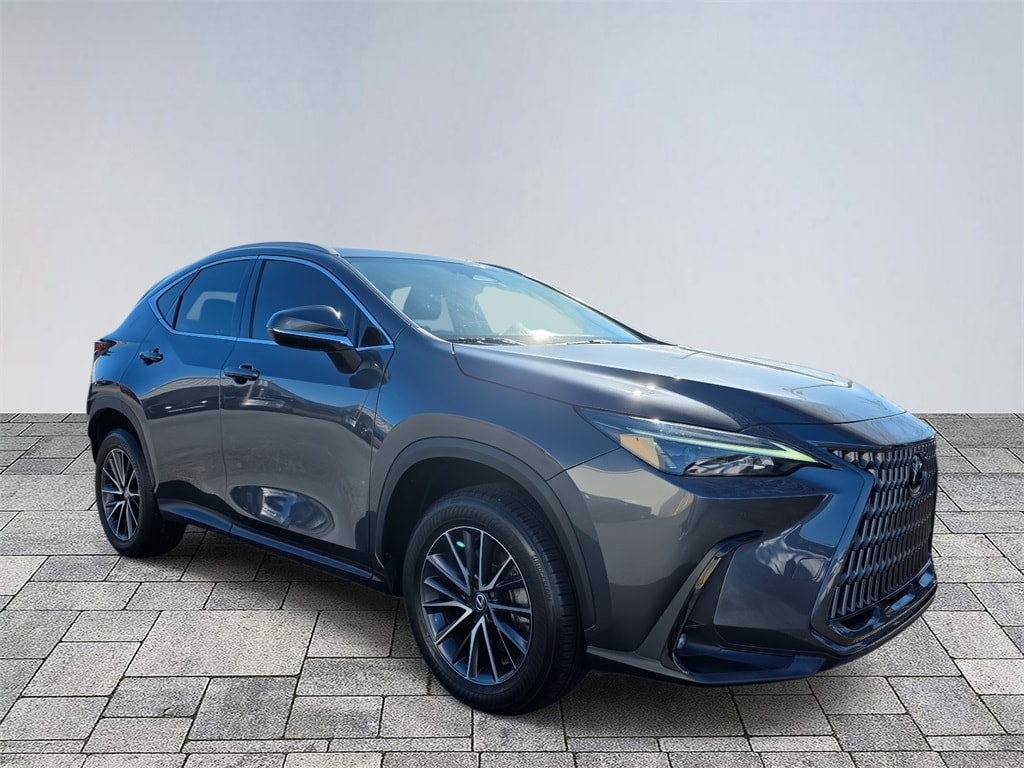 2024 Lexus NX 250's photo