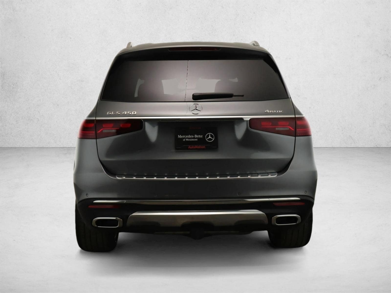 2025 MERCEDES-BENZ GLS-CLASS - Image 6