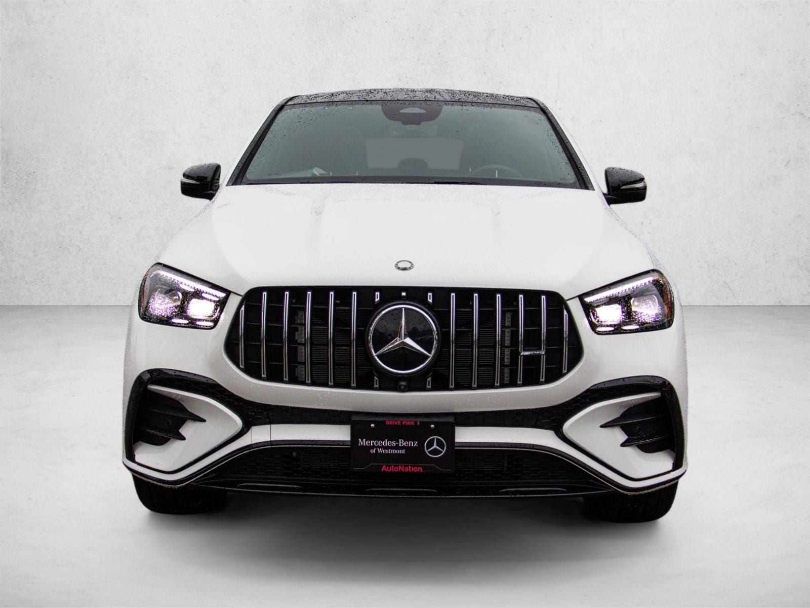 2025 MERCEDES-BENZ GLE-CLASS - Image 2