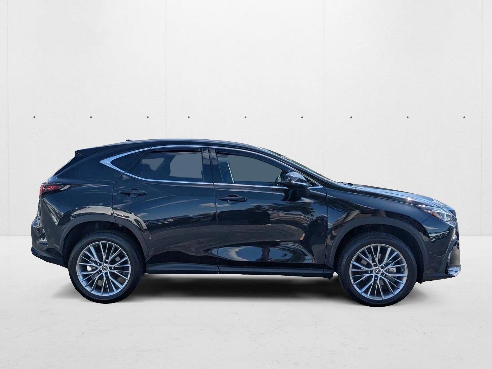 2023 Lexus NX 350 Luxury photo 4