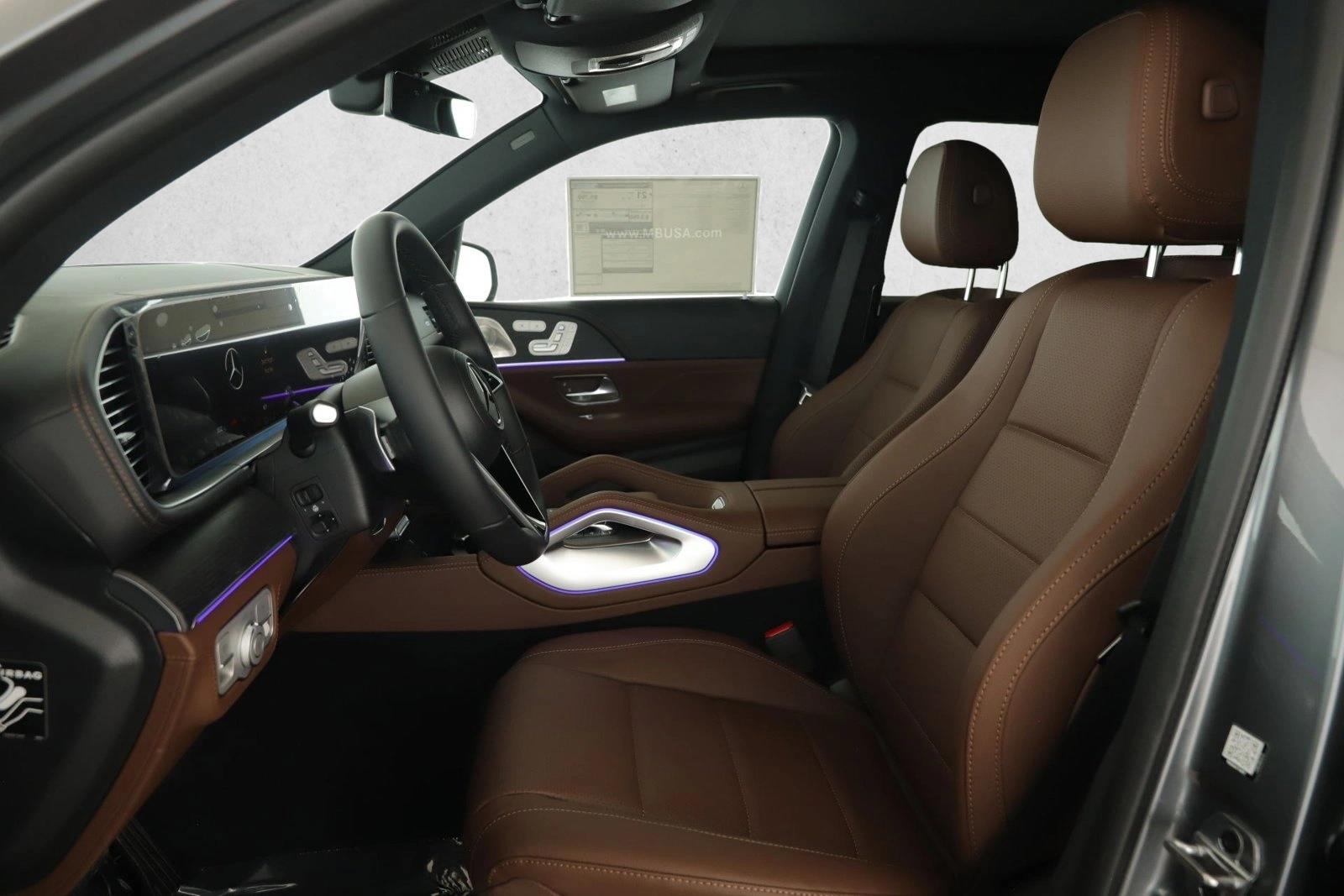 2025 MERCEDES-BENZ GLS-CLASS - Image 10