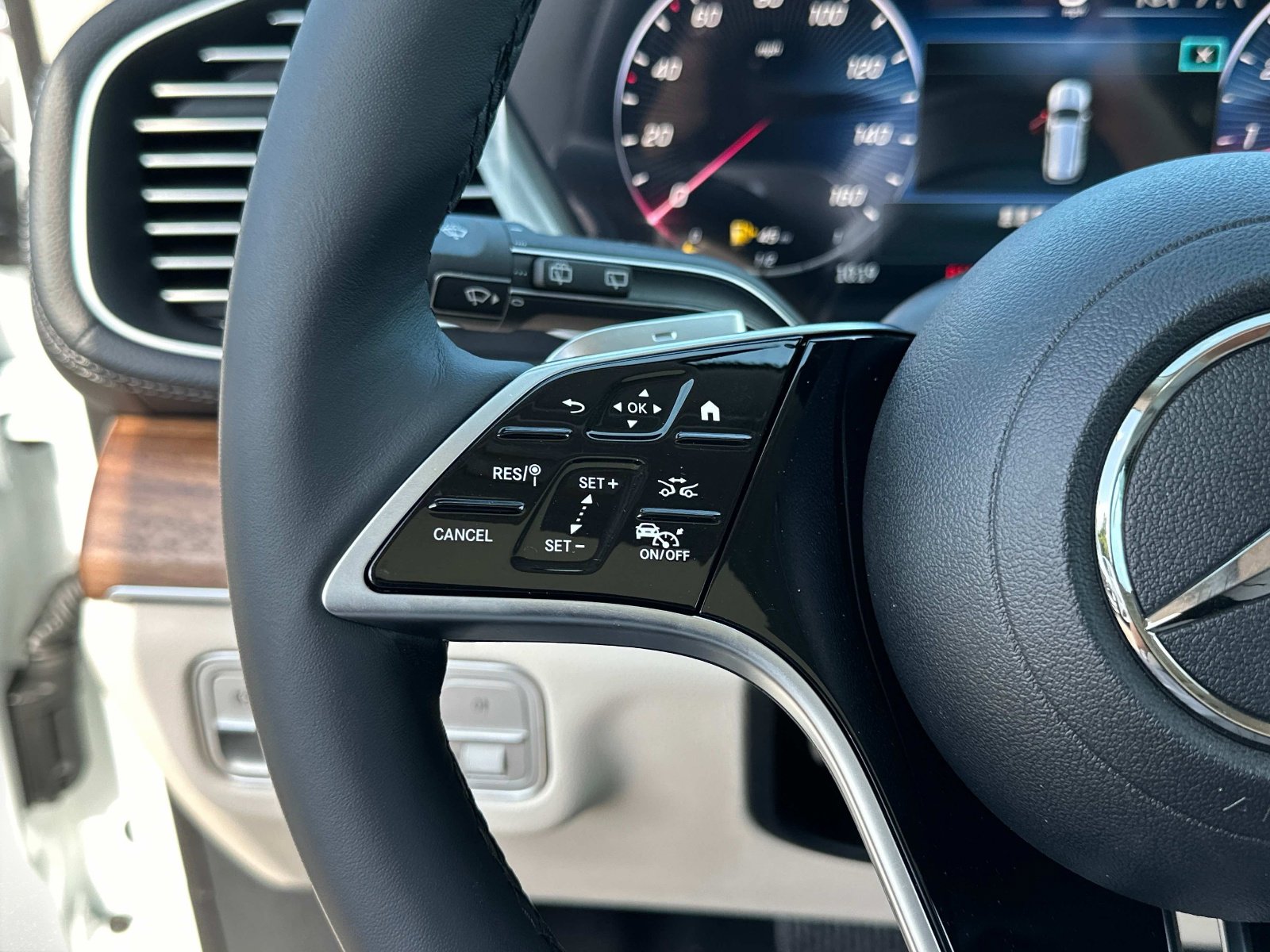 2025 Mercedes-Benz GLS Base - Photo 25