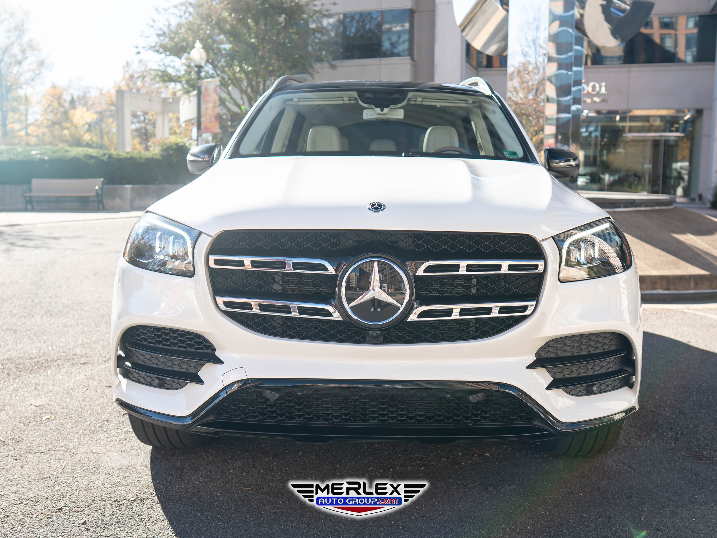 2020 Mercedes Benz GLS 580 4MATIC photo 2