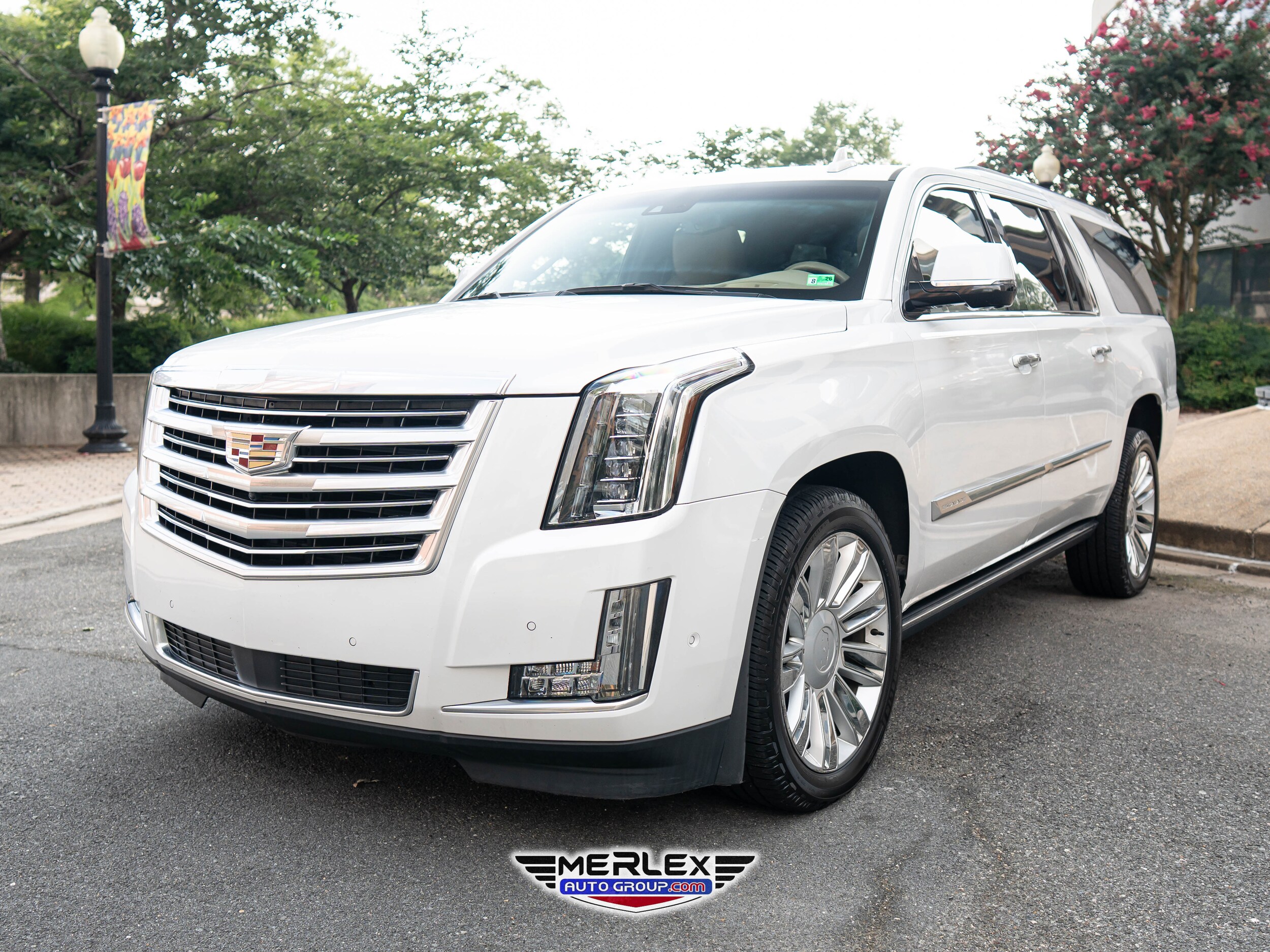 2019 Cadillac Escalade ESV Platinum photo 3