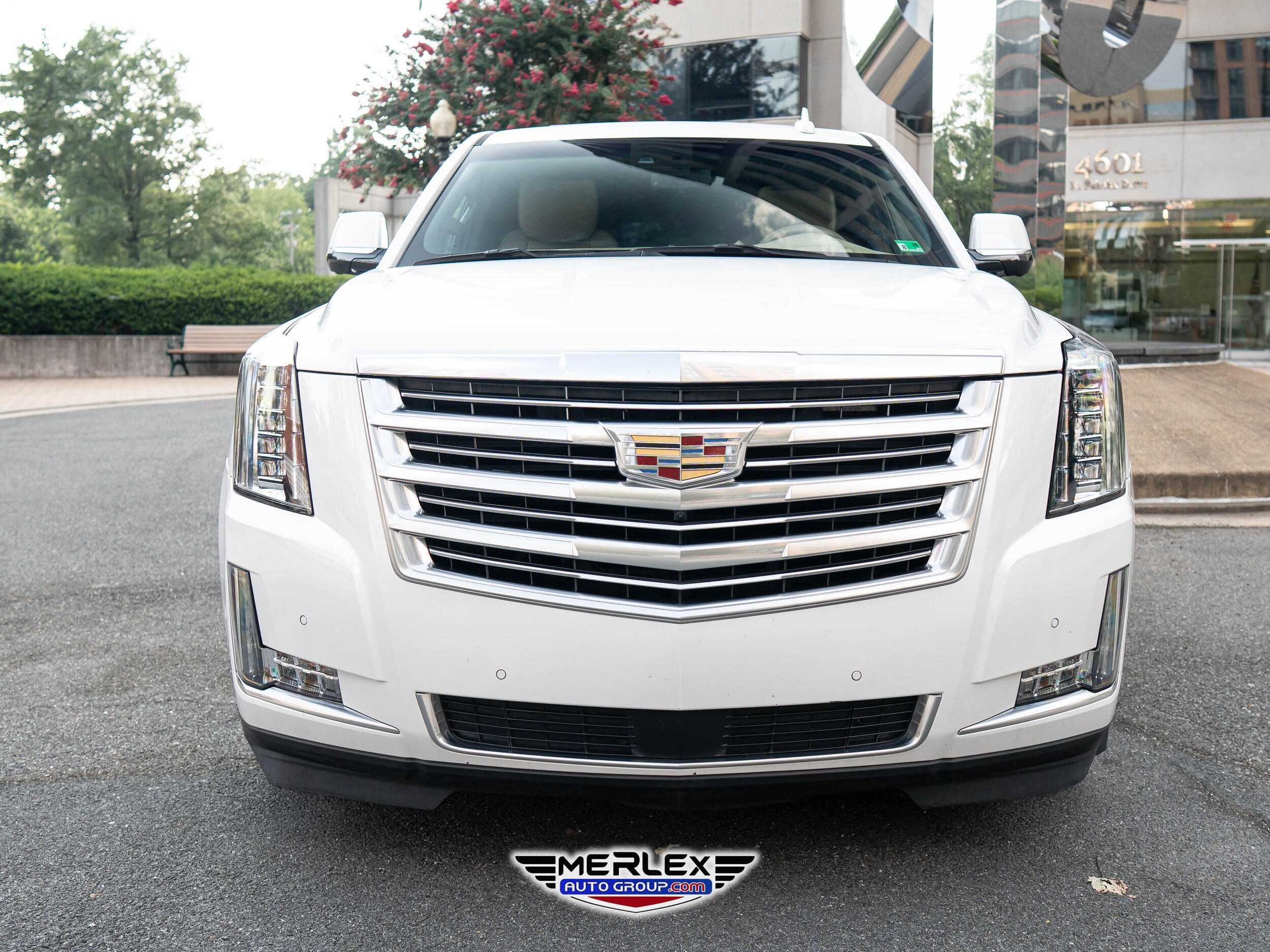 2019 Cadillac Escalade ESV Platinum photo 2