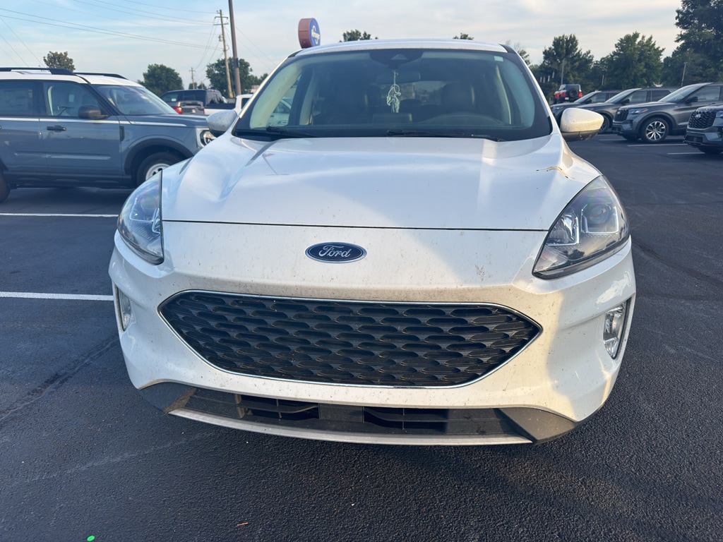 2022 Ford Escape SEL FWD's photo