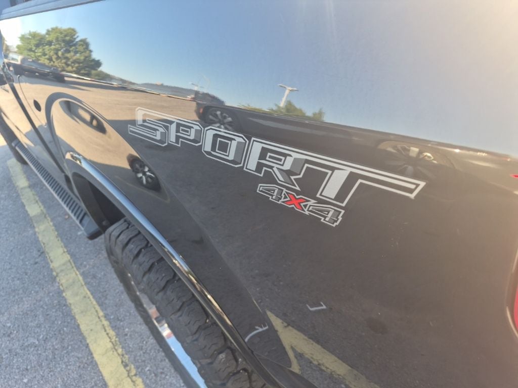 Photo 11