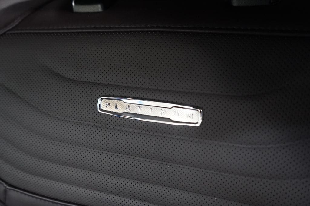 2025 Ford Expedition Platinum - Photo 17