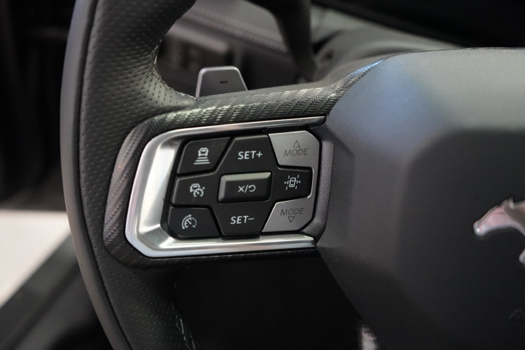 2025 Ford Mustang GT Premium Fastback - Photo 19